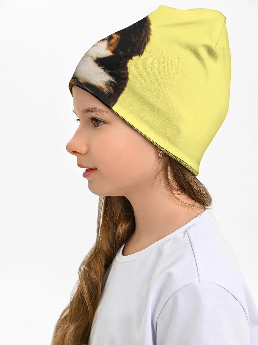 Детская шапка / Бернский зенненхунд, Berner Sennenhund