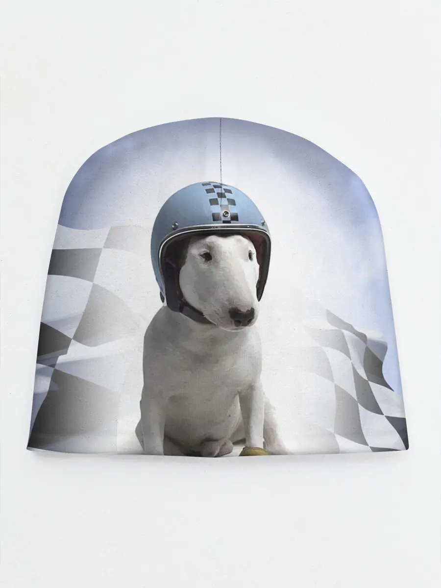 Детская шапка / Bully - легендарный гонщик