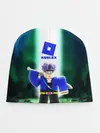 Детская шапка / DRAGONBALL | ROBLOX | РОБЛОКС