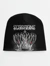Детская шапка / SCORPIONS