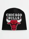 Детская шапка / B.C. Chicago Bulls