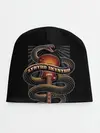 Детская шапка / LYNYRD SKYNYRD SNAKE