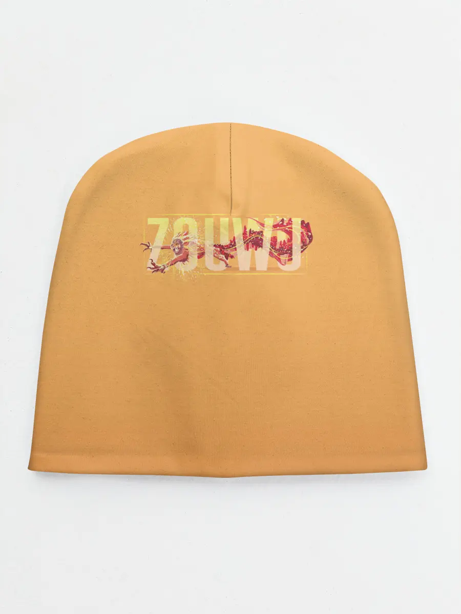 Детская шапка / Zouwu