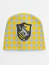 Детская шапка / Coat of Hufflepuff
