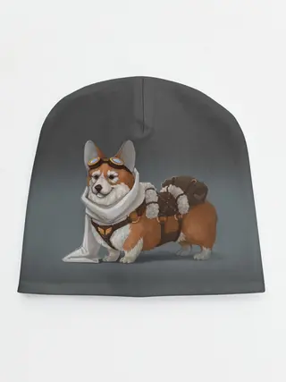 Детская шапка / КОРГИ ПИЛОТ