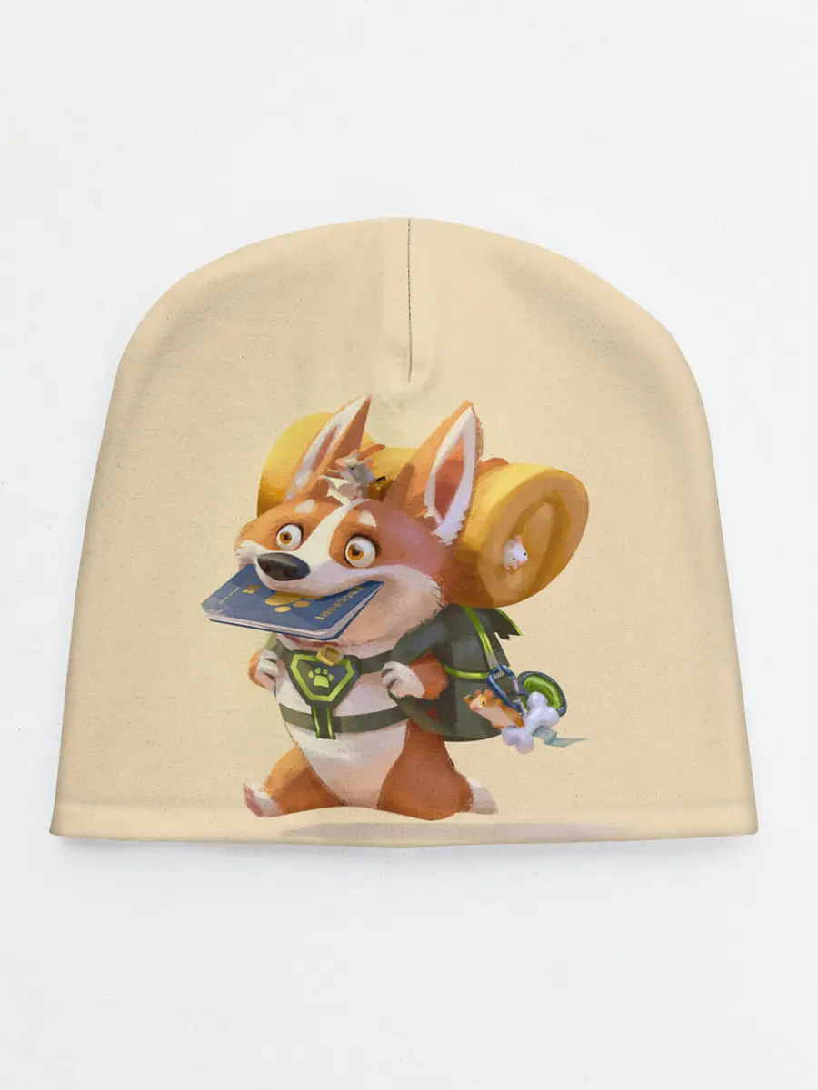 Детская шапка / КОРГИ ПУТЕШЕСТВЕННИК