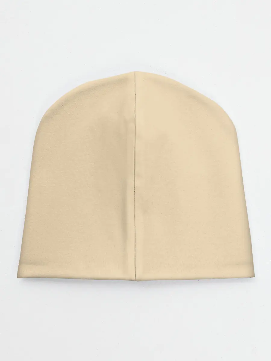 Детская шапка / КОРГИ ПУТЕШЕСТВЕННИК