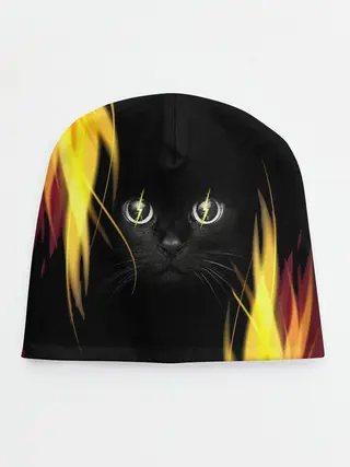 Детская шапка / Грозовой кошак