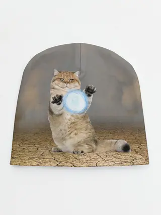 Детская шапка / Земляной кошак с расенганом