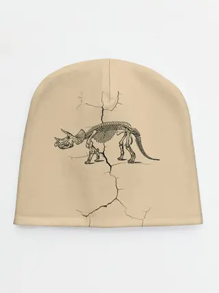Детская шапка / Triceratops skeleton