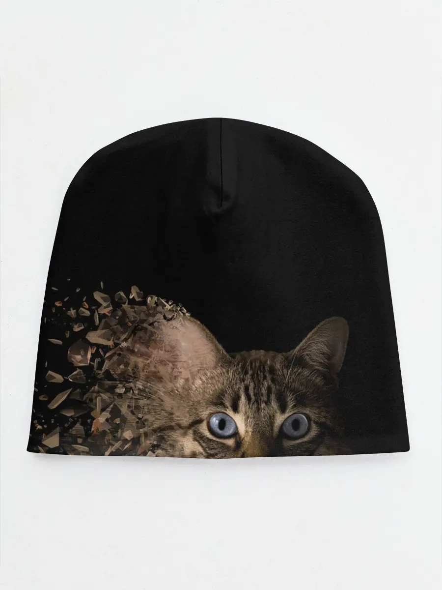 Детская шапка / Disintegrating Cat