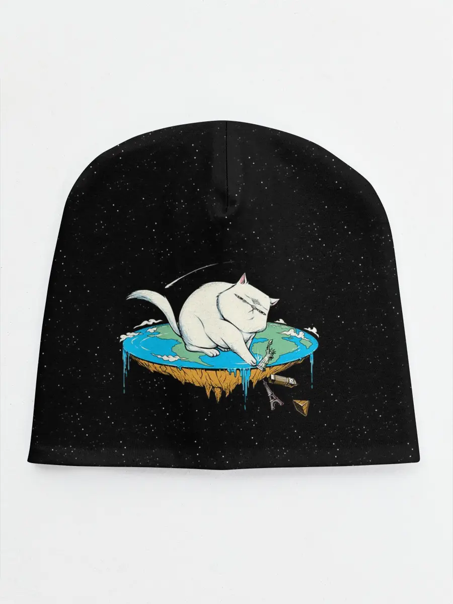 Детская шапка / Flat earth Cat