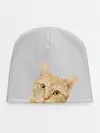 Детская шапка / Рыжий котик