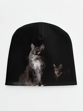 Детская шапка / Котики