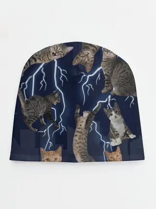 Детская шапка / Коты