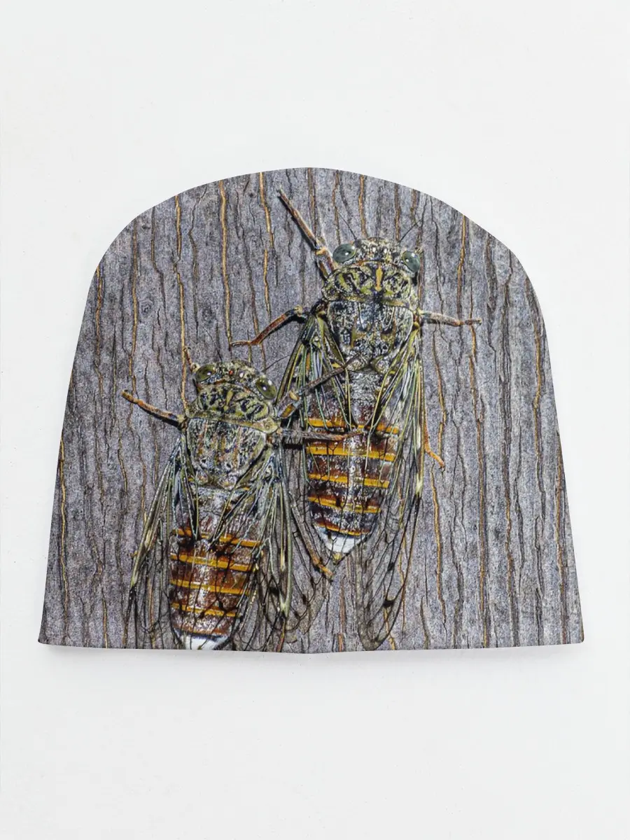 Детская шапка / Цикады