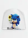 Детская шапка / SONIC