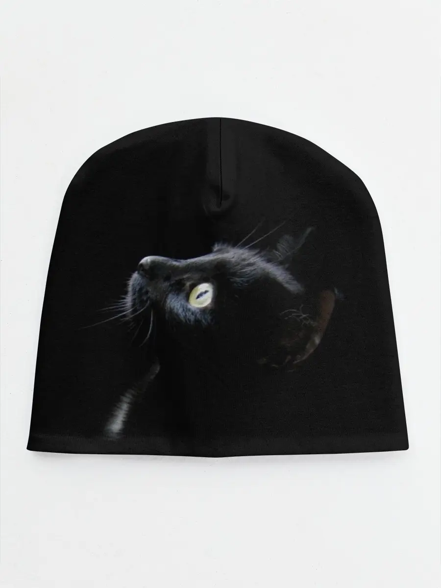 Детская шапка / Кот
