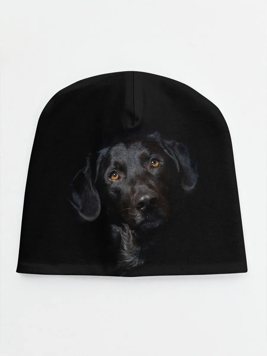Детская шапка / Пес
