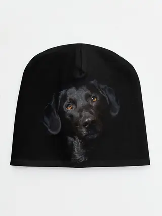 Детская шапка / Пес