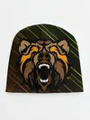 Детская шапка / Angry Bear