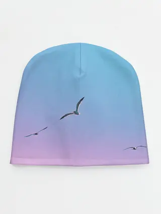 Детская шапка / чайки птицы полет градиент