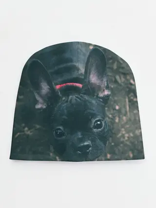 Детская шапка / Бульдог морда собакена черного
