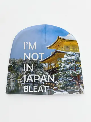 Детская шапка / Я не в Японии 3