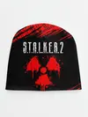 Детская шапка / STALKER 2 / СТАЛКЕР 2