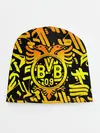 Детская шапка / FC Borussia