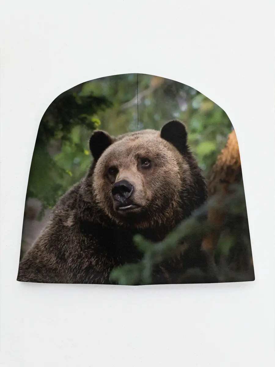 Детская шапка / Медведь