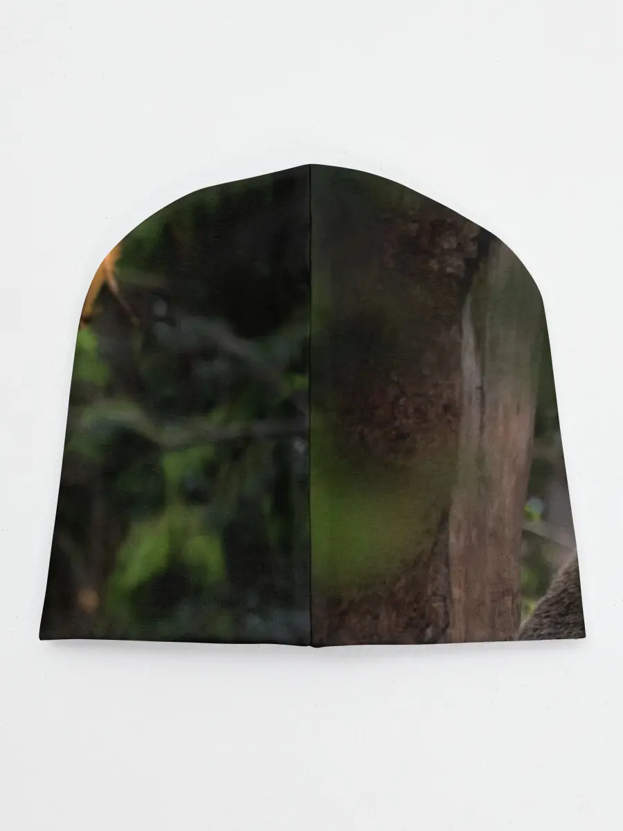 Детская шапка / Медведь