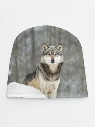 Детская шапка / Волк и снег