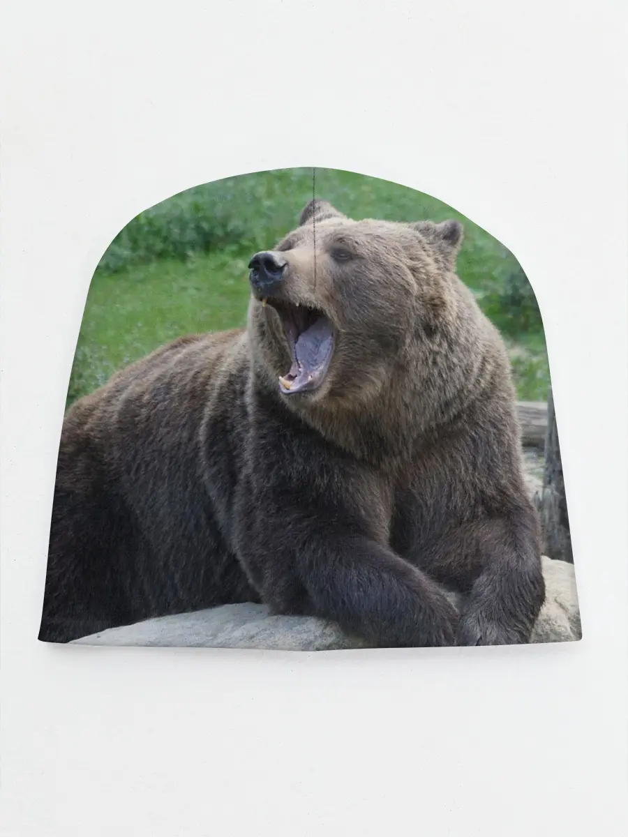 Детская шапка / Медведь