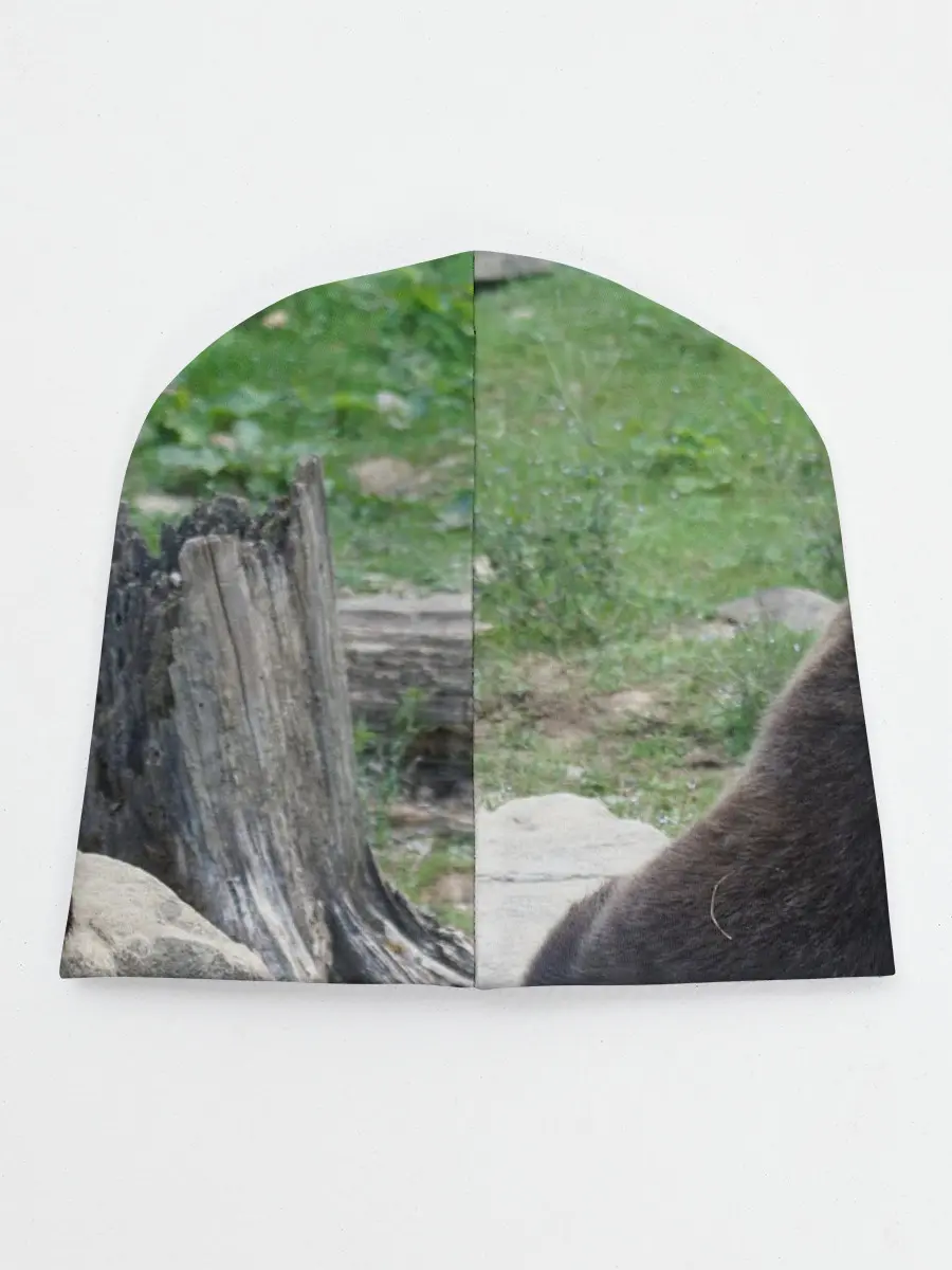 Детская шапка / Медведь