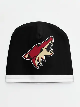 Детская шапка / Аризона Койотис