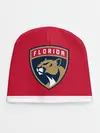 Детская шапка / Флорида Пантерз