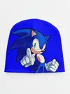 Детская шапка / SONIC