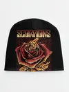 Детская шапка / Scorpions