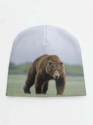 Детская шапка / Россия