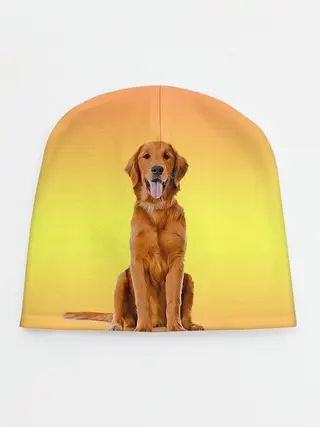 Детская шапка / Золотистый ретривер