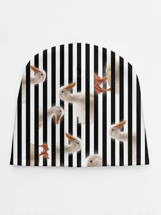 Детская шапка / Гуси