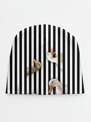 Детская шапка / Гуси