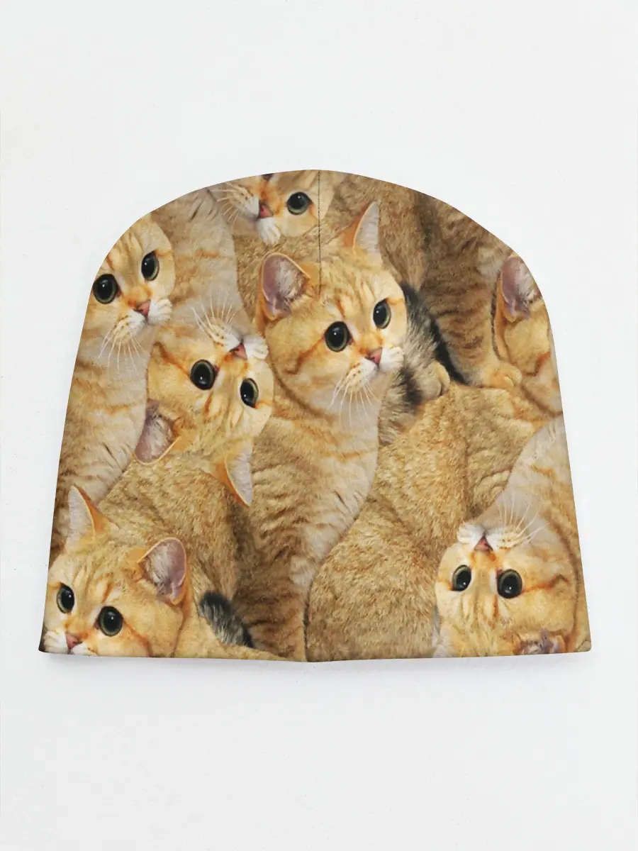 Детская шапка / КОТЯТУШКИ