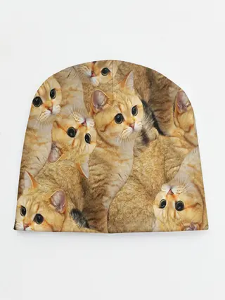 Детская шапка / КОТЯТУШКИ