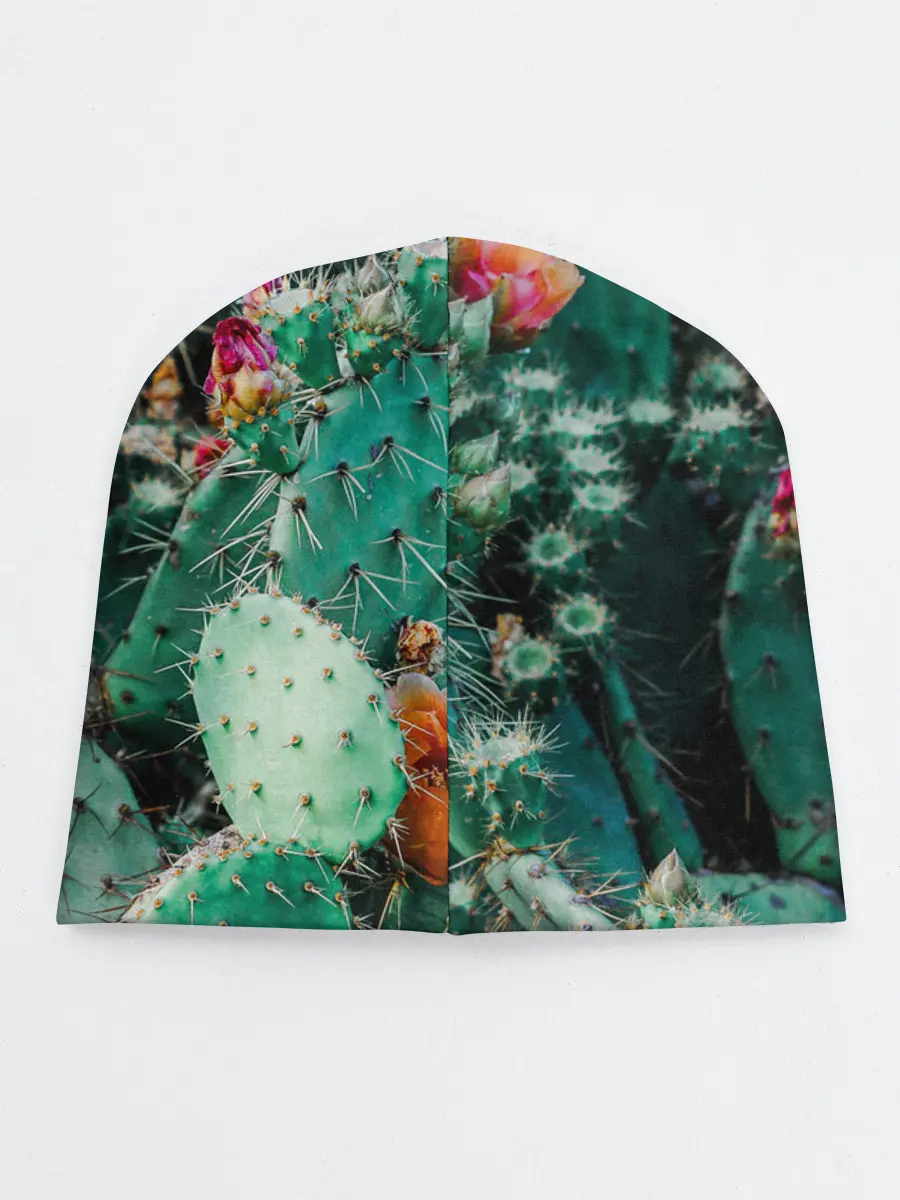 Детская шапка / кактусы с цветами реализм