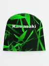 Детская шапка / Kawasaki