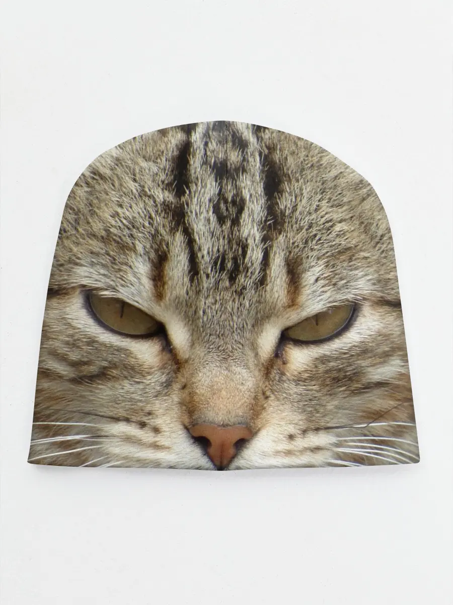 Детская шапка / Кот