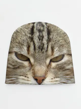 Детская шапка / Кот