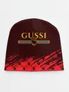 Детская шапка / GUSSI / ГУСИ